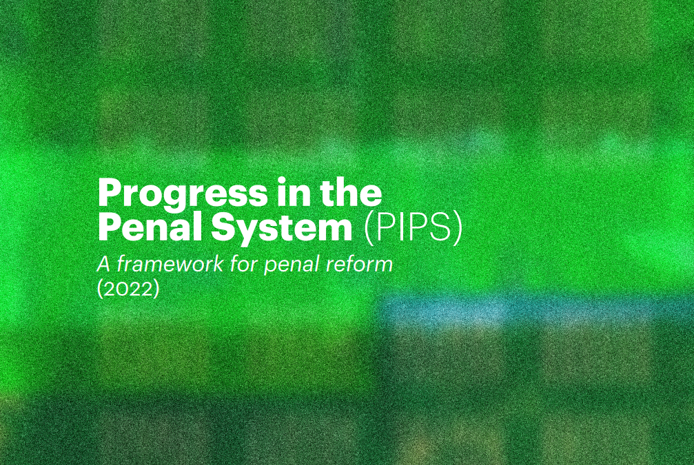 PIPS 2022: A closer look at action for children and families of people in prison