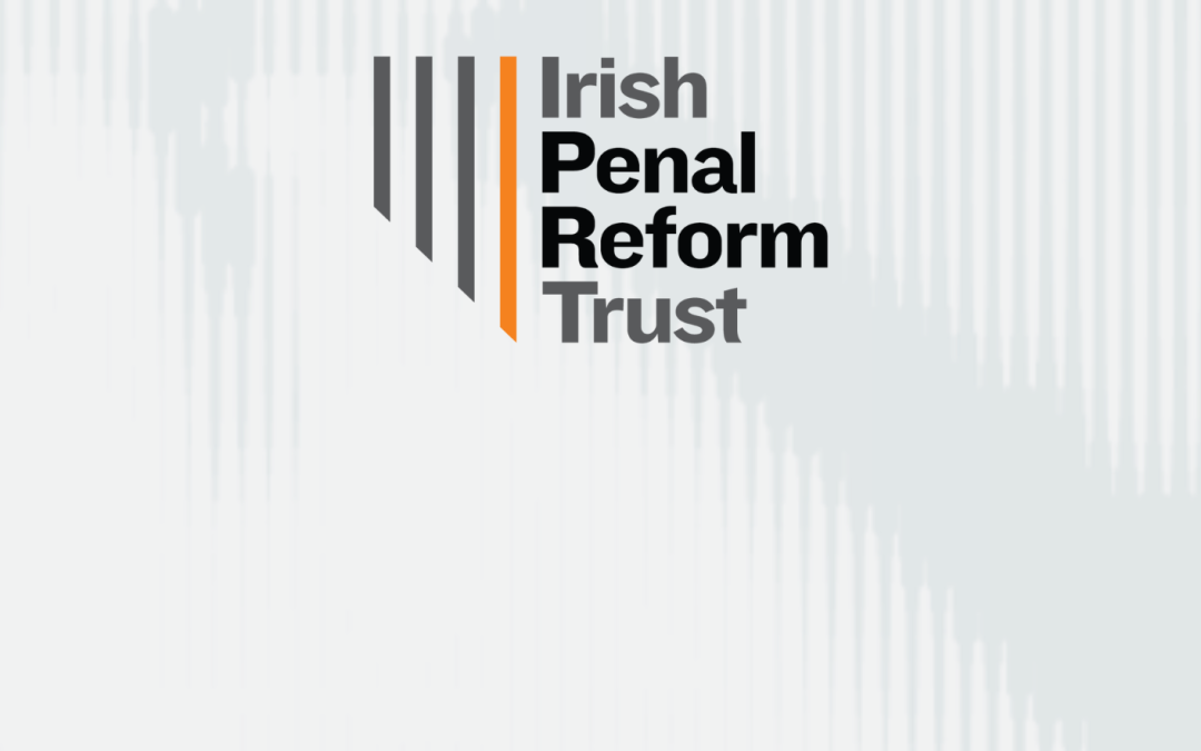 IPRT Pre-Budget Submission Budget 2024: A closer look at asks for children and families of people in prison